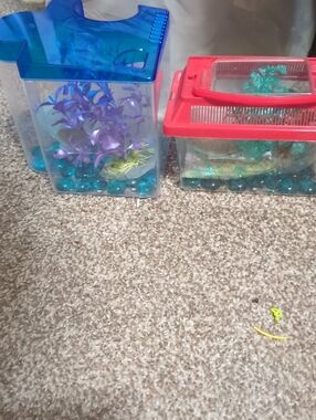 Kids Clear Mini Aquarium  Set with Blue and Red Lids